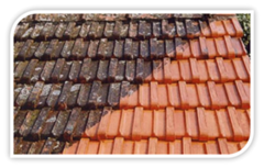Limpeza de Telhado no Horto do Ipê